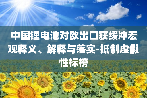 中國鋰電池對歐出口獲緩沖宏觀釋義、解釋與落實(shí)-抵制虛假性標(biāo)榜
