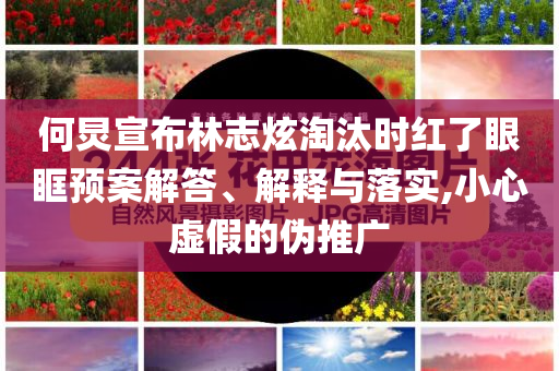 何炅宣布林志炫淘汰時(shí)紅了眼眶預(yù)案解答、解釋與落實(shí),小心虛假的偽推廣