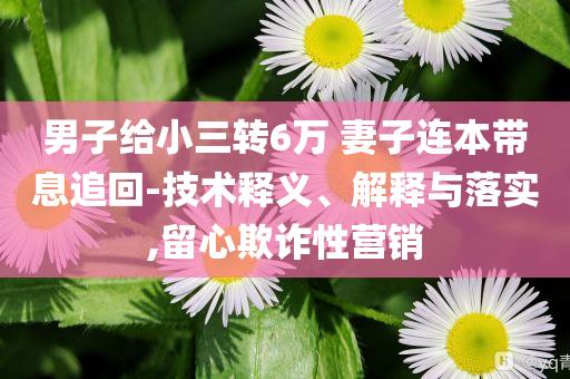 男子給小三轉(zhuǎn)6萬 妻子連本帶息追回-技術(shù)釋義、解釋與落實(shí),留心欺詐性營(yíng)銷