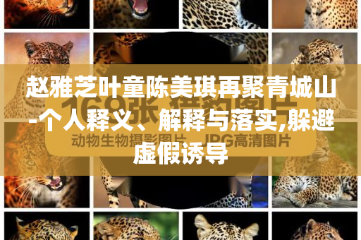 趙雅芝葉童陳美琪再聚青城山-個(gè)人釋義、解釋與落實(shí),躲避虛假誘導(dǎo)