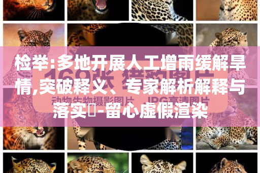 檢舉:多地開展人工增雨緩解旱情,突破釋義、專家解析解釋與落實(shí)?-留心虛假渲染