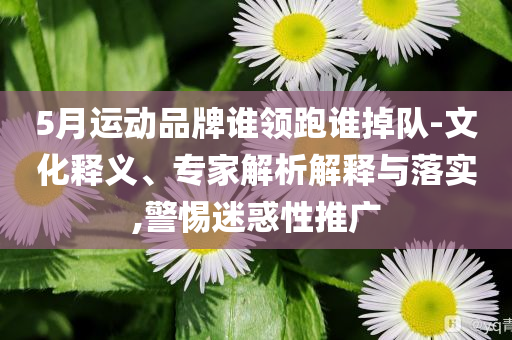 5月運(yùn)動(dòng)品牌誰(shuí)領(lǐng)跑誰(shuí)掉隊(duì)-文化釋義、專(zhuān)家解析解釋與落實(shí),警惕迷惑性推廣
