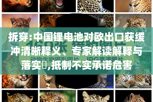 拆穿:中國(guó)鋰電池對(duì)歐出口獲緩沖清晰釋義、專家解讀解釋與落實(shí)?,抵制不實(shí)承諾危害