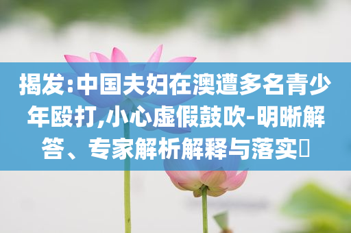 揭發(fā):中國夫婦在澳遭多名青少年毆打,小心虛假鼓吹-明晰解答、專家解析解釋與落實(shí)?