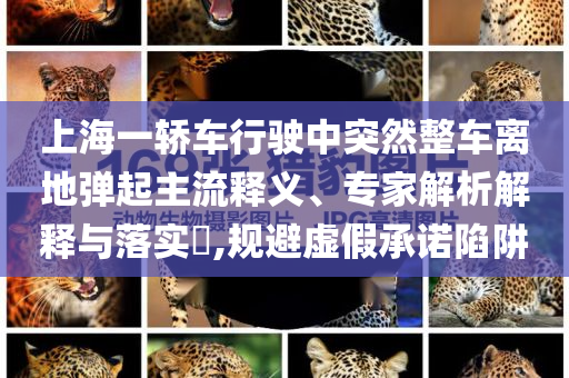 上海一轎車行駛中突然整車離地彈起主流釋義、專家解析解釋與落實(shí)?,規(guī)避虛假承諾陷阱