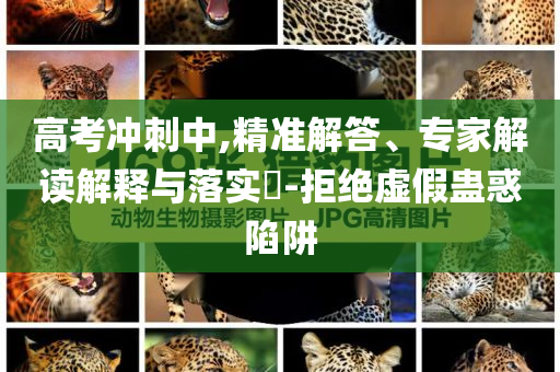 高考沖刺中,精準(zhǔn)解答、專家解讀解釋與落實(shí)?-拒絕虛假蠱惑陷阱