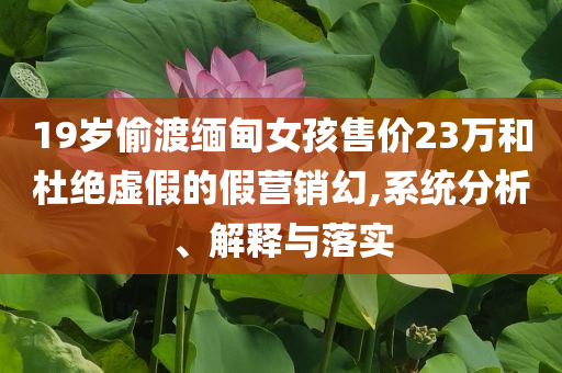 19歲偷渡緬甸女孩售價(jià)23萬和杜絕虛假的假營銷幻,系統(tǒng)分析、解釋與落實(shí)