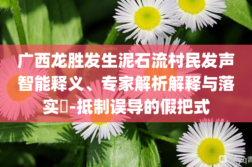 廣西龍勝發(fā)生泥石流村民發(fā)聲智能釋義、專家解析解釋與落實(shí)?-抵制誤導(dǎo)的假把式