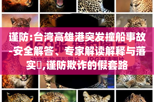 謹(jǐn)防:臺灣高雄港突發(fā)撞船事故-安全解答、專家解讀解釋與落實?,謹(jǐn)防欺詐的假套路
