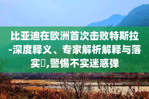 比亞迪在歐洲首次擊敗特斯拉-深度釋義、專家解析解釋與落實?,警惕不實迷惑彈