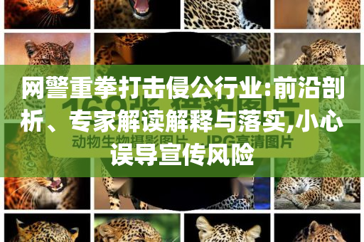 網(wǎng)警重拳打擊侵公行業(yè):前沿剖析、專家解讀解釋與落實(shí),小心誤導(dǎo)宣傳風(fēng)險(xiǎn)