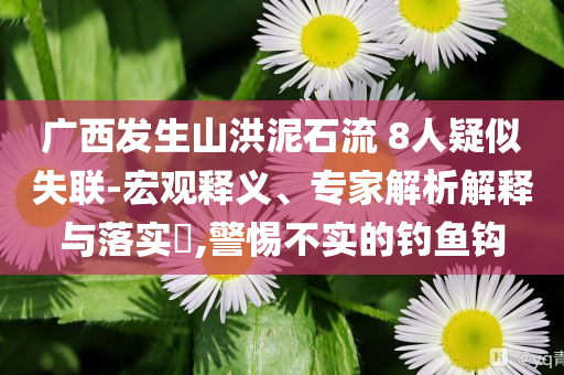 廣西發(fā)生山洪泥石流 8人疑似失聯(lián)-宏觀釋義、專家解析解釋與落實?,警惕不實的釣魚鉤