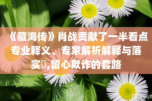 《藏海傳》肖戰(zhàn)貢獻(xiàn)了一半看點(diǎn)專業(yè)釋義、專家解析解釋與落實(shí)?,留心欺詐的套路