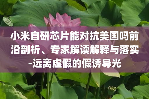 小米自研芯片能對抗美國嗎前沿剖析、專家解讀解釋與落實(shí)-遠(yuǎn)離虛假的假誘導(dǎo)光