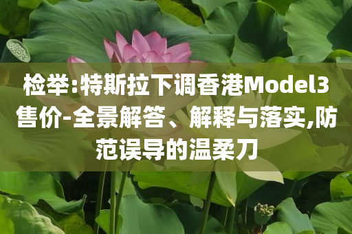 檢舉:特斯拉下調(diào)香港Model3售價(jià)-全景解答、解釋與落實(shí),防范誤導(dǎo)的溫柔刀