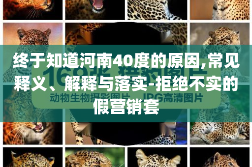 終于知道河南40度的原因,常見釋義、解釋與落實-拒絕不實的假營銷套