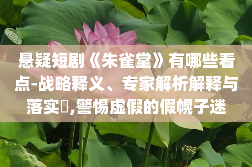 懸疑短劇《朱雀堂》有哪些看點(diǎn)-戰(zhàn)略釋義、專家解析解釋與落實(shí)?,警惕虛假的假幌子迷