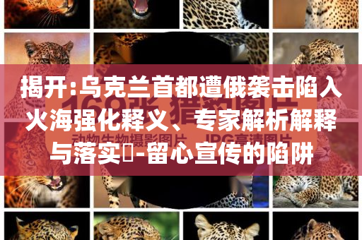 揭開:烏克蘭首都遭俄襲擊陷入火海強(qiáng)化釋義、專家解析解釋與落實(shí)?-留心宣傳的陷阱