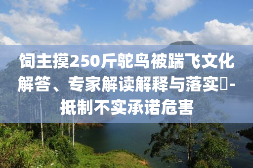 飼主摸250斤鴕鳥被踹飛文化解答、專家解讀解釋與落實(shí)?-抵制不實(shí)承諾危害