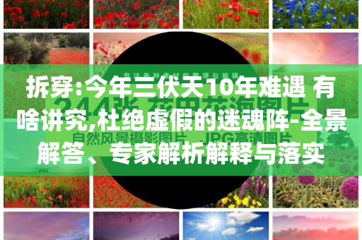 拆穿:今年三伏天10年難遇 有啥講究,杜絕虛假的迷魂陣-全景解答、專家解析解釋與落實(shí)