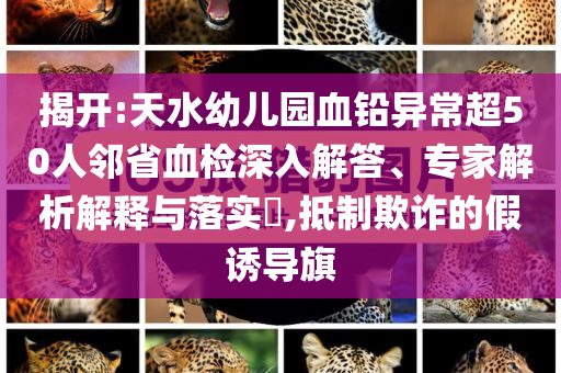 揭開(kāi):天水幼兒園血鉛異常超50人鄰省血檢深入解答、專(zhuān)家解析解釋與落實(shí)?,抵制欺詐的假誘導(dǎo)旗