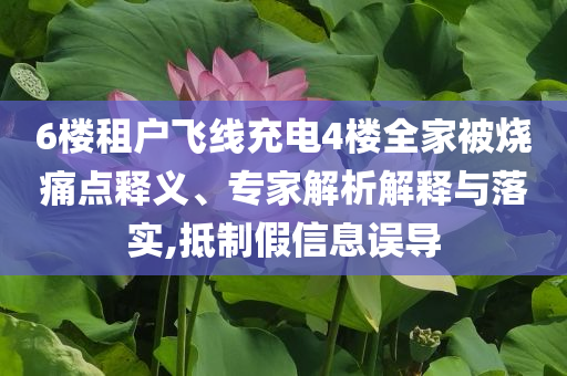 6樓租戶飛線充電4樓全家被燒痛點釋義、專家解析解釋與落實,抵制假信息誤導