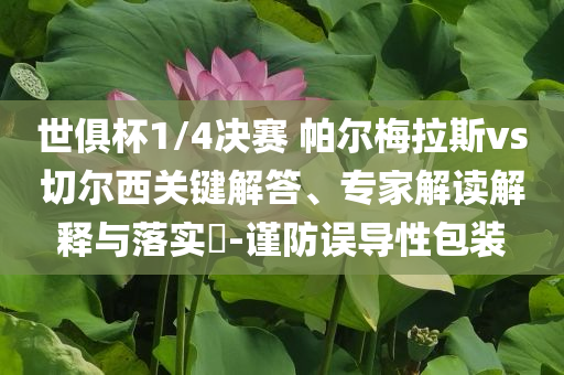 世俱杯1/4決賽 帕爾梅拉斯vs切爾西關(guān)鍵解答、專家解讀解釋與落實?-謹(jǐn)防誤導(dǎo)性包裝