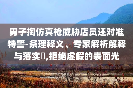 男子掏仿真槍威脅店員還對準(zhǔn)特警-條理釋義、專家解析解釋與落實?,拒絕虛假的表面光