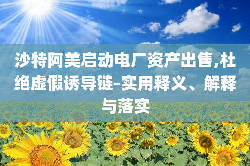 沙特阿美啟動電廠資產(chǎn)出售,杜絕虛假誘導(dǎo)鏈-實用釋義、解釋與落實