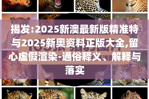 揭發(fā):2025新澳最新版精準(zhǔn)特與2025新奧資料正版大全,留心虛假渲染-通俗釋義、解釋與落實(shí)