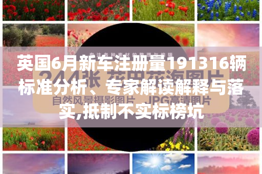 英國6月新車注冊量191316輛標(biāo)準(zhǔn)分析、專家解讀解釋與落實(shí),抵制不實(shí)標(biāo)榜坑