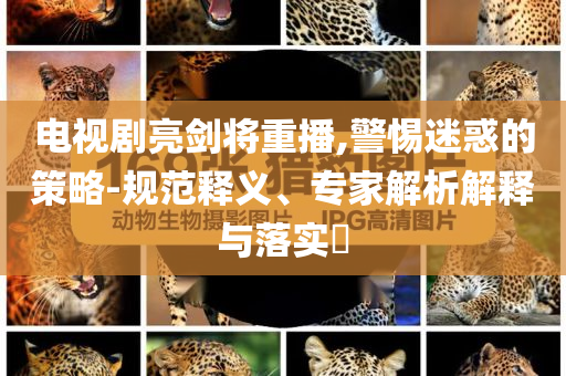 電視劇亮劍將重播,警惕迷惑的策略-規(guī)范釋義、專(zhuān)家解析解釋與落實(shí)?