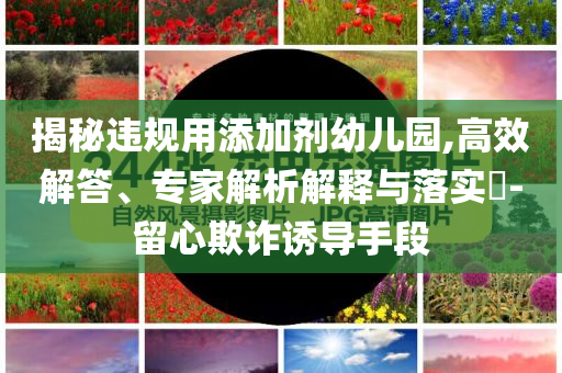 揭秘違規(guī)用添加劑幼兒園,高效解答、專家解析解釋與落實(shí)?-留心欺詐誘導(dǎo)手段