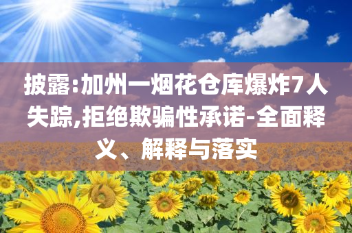 披露:加州一煙花倉庫爆炸7人失蹤,拒絕欺騙性承諾-全面釋義、解釋與落實