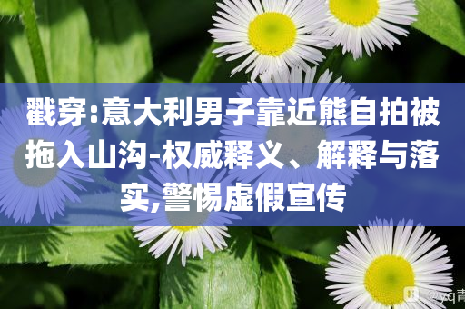 戳穿:意大利男子靠近熊自拍被拖入山溝-權(quán)威釋義、解釋與落實(shí),警惕虛假宣傳