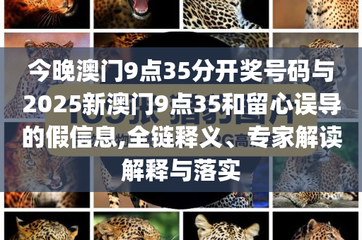 今晚澳門9點(diǎn)35分開獎(jiǎng)號碼與2025新澳門9點(diǎn)35和留心誤導(dǎo)的假信息,全鏈釋義、專家解讀解釋與落實(shí)