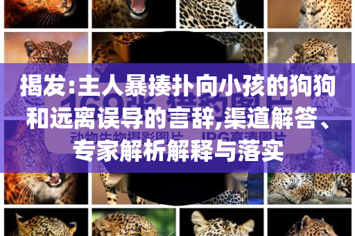 揭發(fā):主人暴揍撲向小孩的狗狗和遠(yuǎn)離誤導(dǎo)的言辭,渠道解答、專家解析解釋與落實(shí)