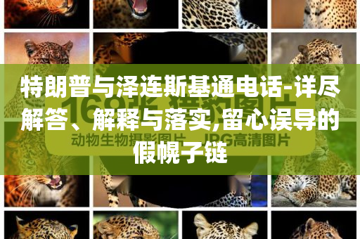 特朗普與澤連斯基通電話-詳盡解答、解釋與落實,留心誤導(dǎo)的假幌子鏈
