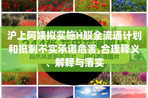 滬上阿姨擬實施H股全流通計劃和抵制不實承諾危害,合理釋義、解釋與落實