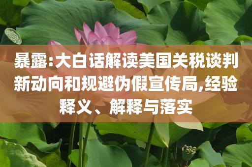 暴露:大白話解讀美國(guó)關(guān)稅談判新動(dòng)向和規(guī)避偽假宣傳局,經(jīng)驗(yàn)釋義、解釋與落實(shí)