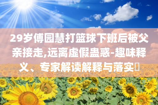 29歲傅園慧打籃球下班后被父親接走,遠(yuǎn)離虛假蠱惑-趣味釋義、專家解讀解釋與落實?