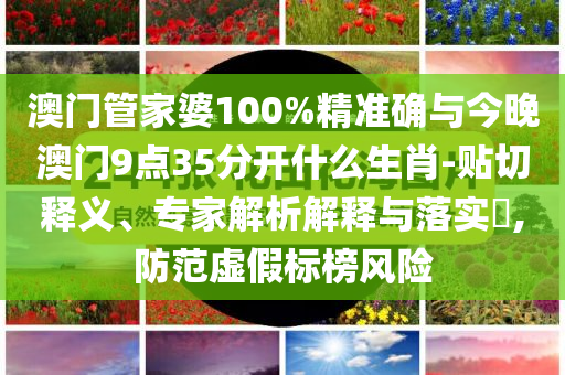 澳門(mén)管家婆100%精準(zhǔn)確與今晚澳門(mén)9點(diǎn)35分開(kāi)什么生肖-貼切釋義、專家解析解釋與落實(shí)?,防范虛假標(biāo)榜風(fēng)險(xiǎn)