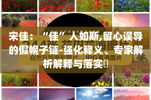 宋佳：“佳”人如斯,留心誤導的假幌子鏈-強化釋義、專家解析解釋與落實?