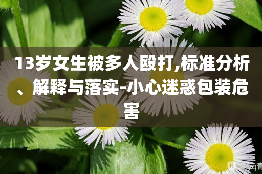 13歲女生被多人毆打,標(biāo)準(zhǔn)分析、解釋與落實(shí)-小心迷惑包裝危害