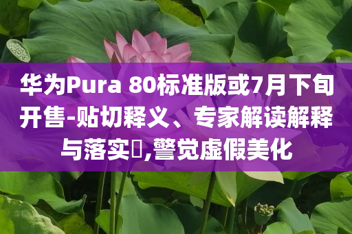 華為Pura 80標(biāo)準(zhǔn)版或7月下旬開售-貼切釋義、專家解讀解釋與落實(shí)?,警覺虛假美化
