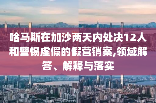 哈馬斯在加沙兩天內(nèi)處決12人和警惕虛假的假營銷案,領(lǐng)域解答、解釋與落實