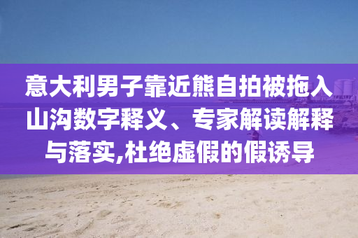 意大利男子靠近熊自拍被拖入山溝數(shù)字釋義、專家解讀解釋與落實(shí),杜絕虛假的假誘導(dǎo)