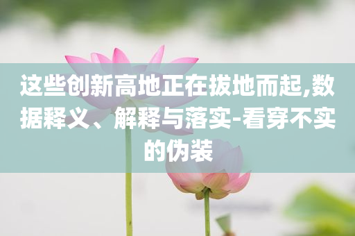 這些創(chuàng)新高地正在拔地而起,數(shù)據(jù)釋義、解釋與落實(shí)-看穿不實(shí)的偽裝