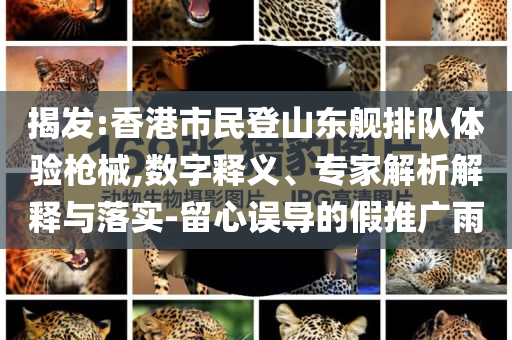 揭發(fā):香港市民登山東艦排隊(duì)體驗(yàn)槍械,數(shù)字釋義、專家解析解釋與落實(shí)-留心誤導(dǎo)的假推廣雨