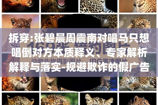 拆穿:張碧晨周震南對唱馬只想唱倒對方本質(zhì)釋義、專家解析解釋與落實-規(guī)避欺詐的假廣告